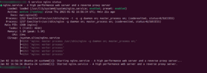 Documentation Serving MDriven with Nginx Server as a Proxy 1735837499808.png