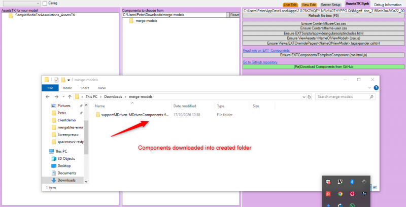 File:4-view-downloaded components.png