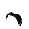 Thumbnail for version as of 10:12, 23 October 2024